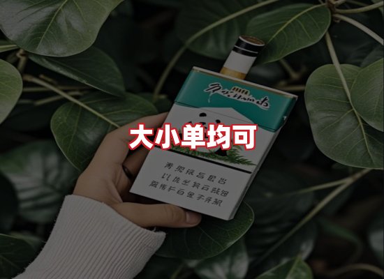 专业团队